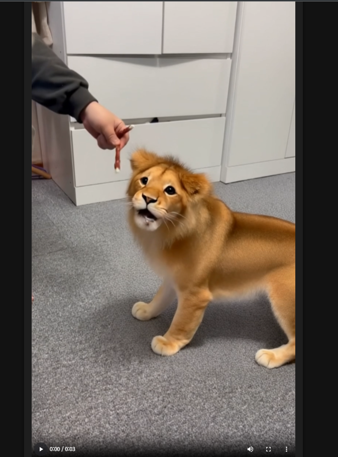 메인 화면